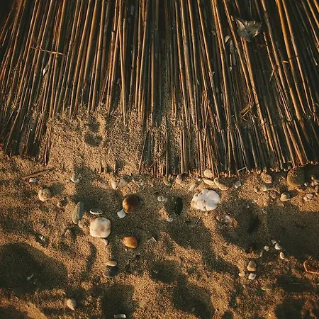 Zonita